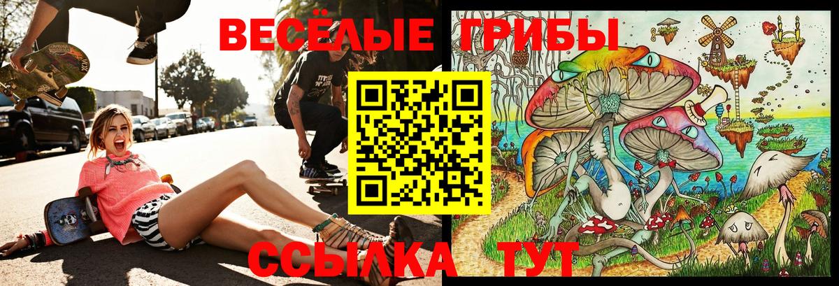 Галлюциногенные грибы MAGIC MUSHROOMS Топки